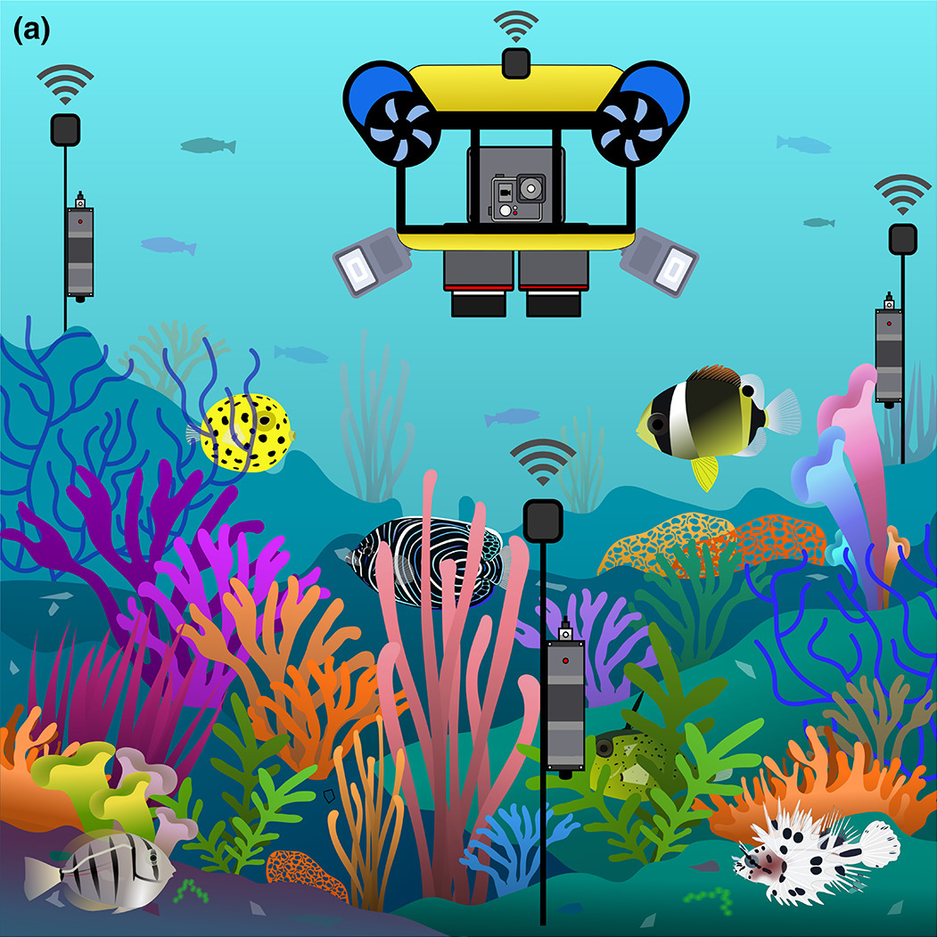 Futurist example of fully automated underwater wildlife monitoring programs Ele14123 fig 0006 m (cropped)